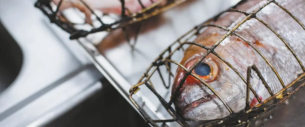 Donostia / San Sebastián