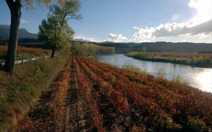  Rioja Alavesa